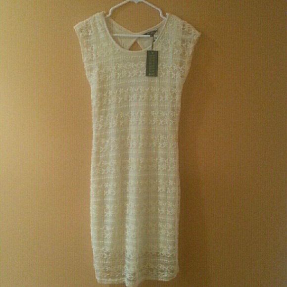PRICE FINAL! NWT Cream/Tan Lace Dress (Stretchy) - Picture 4 of 4
