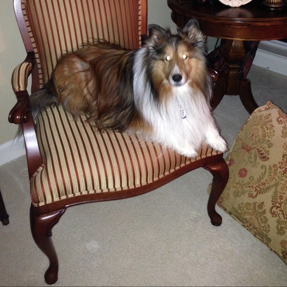 Meet your Posher, Jennifer - Picture 1 of 1