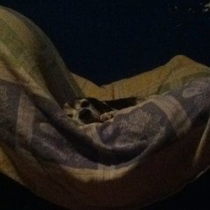 Meet your Posher, Melody