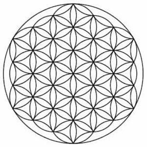 Meet your Posher, Kay