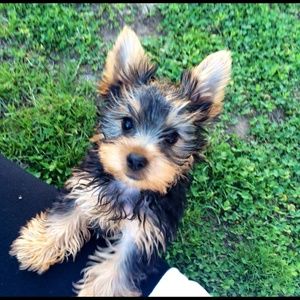 Meet your Posher, Danielle