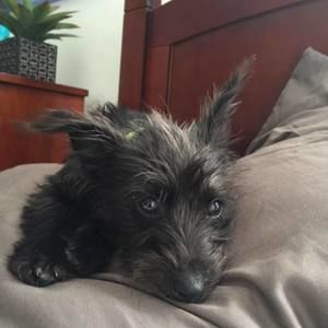 Meet your Posher, Pablo