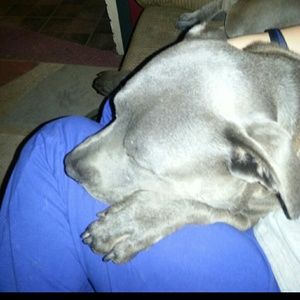 Meet your Posher, Jodi