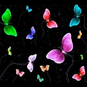 Meet your Posher, Arminda