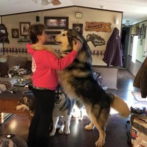 Meet your Posher, Loretta