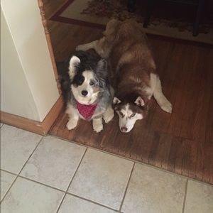 Meet your Posher, Hilary