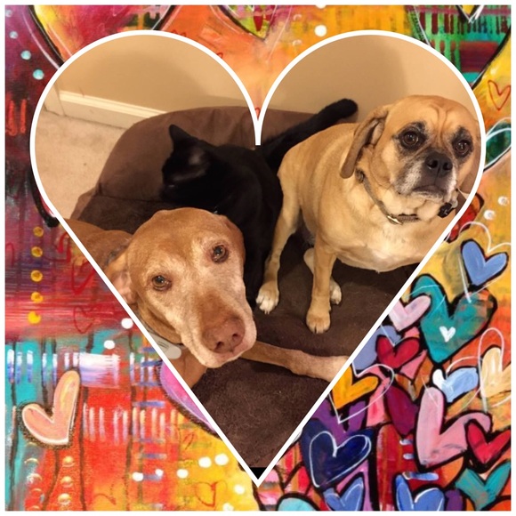 ᕼI! I'm Tricia welcome to my closet! - Picture 3 of 4