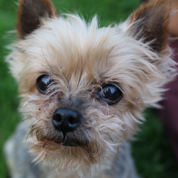 Meet your Posher, Stephanie - Picture 2 of 2