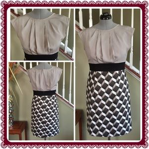 Dress Barn Dress 👍🏼 Sz 12