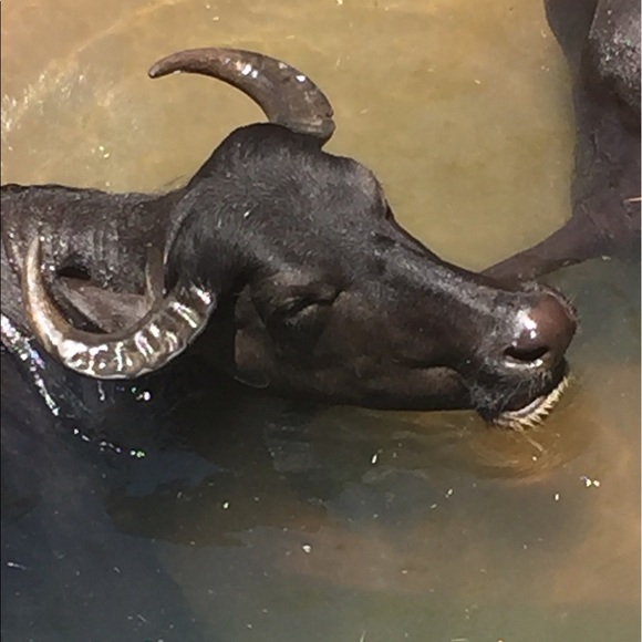 Hello - Picture 4 of 7