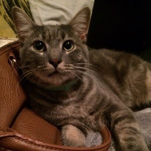 Meet your Posher, Amanda