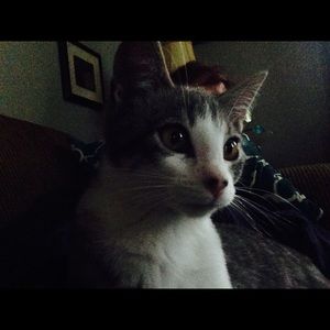 Meet your Posher, Kathy