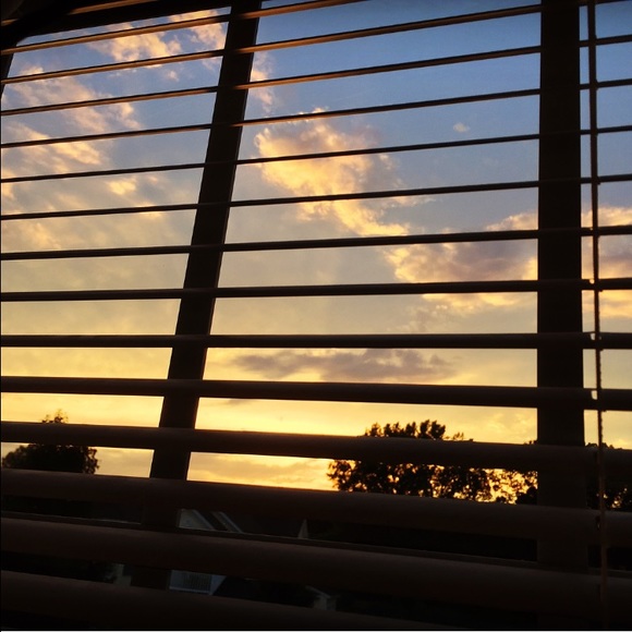 Meet your Posher, Shay - Picture 2 of 2