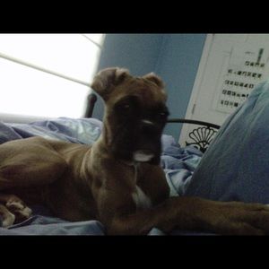 Meet your Posher, Juliana