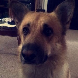 Meet your Posher, Arielle