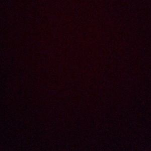 Meet your Posher, Carly