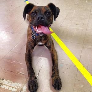 Meet your Posher, Erin