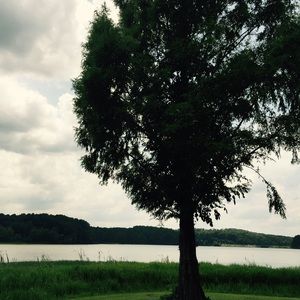 Meet your Posher, Marian