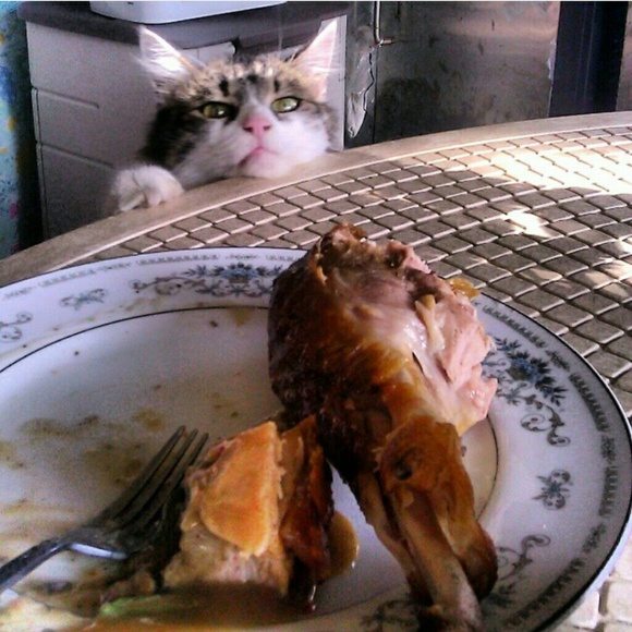 Meet your Posher :) - Picture 3 of 4