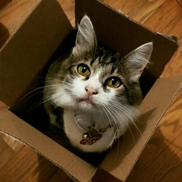 Meet your Posher :) - Picture 4 of 4