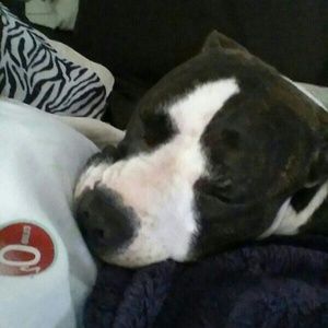 Meet your Posher, Aimee