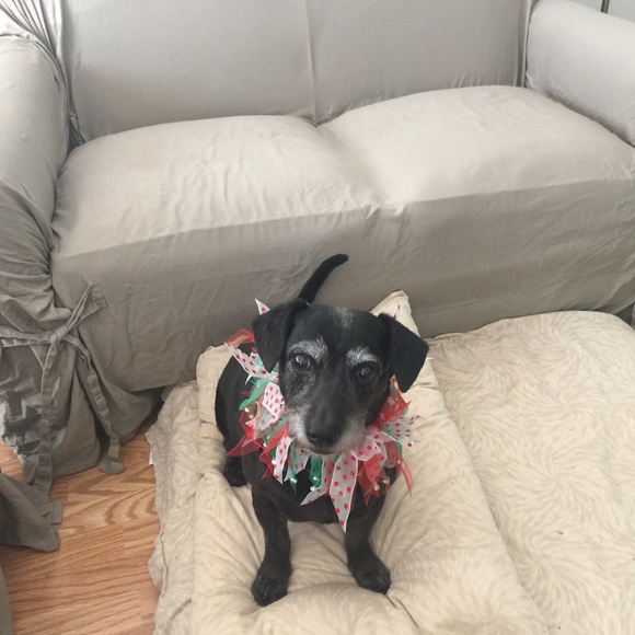 Hello~๐ - Picture 3 of 4