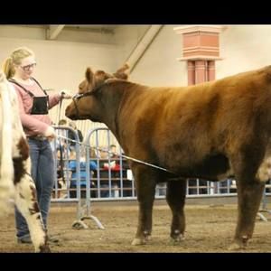 Meet your Posher, Aly