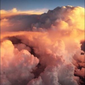 Meet your Posher, Cynthia