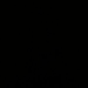 Meet your Posher, Bertha