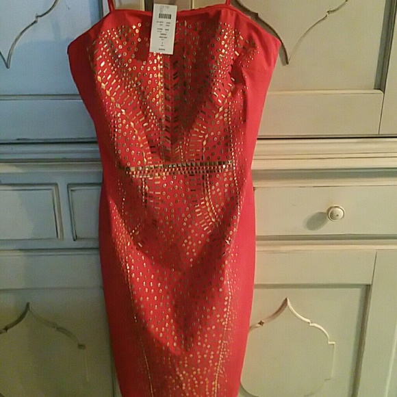 Cache Embellished Dress- On Hold
