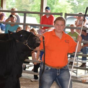 Meet your Posher, Caroline