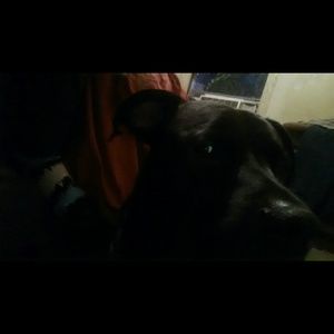 Meet your Posher, Breanna