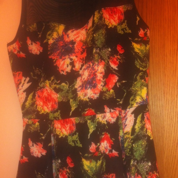 Floral Print Skater Dress - Picture 1 of 4