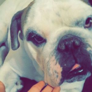 Meet your Posher, Hailey