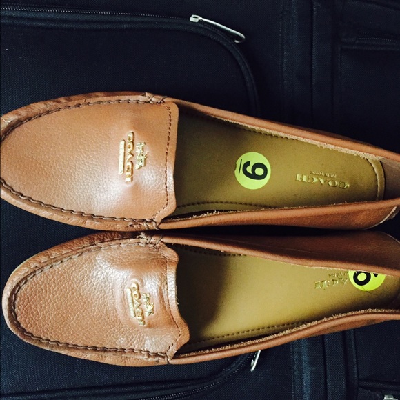 Coach shoes