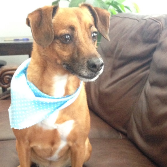 Meet your Posher! - Picture 2 of 3