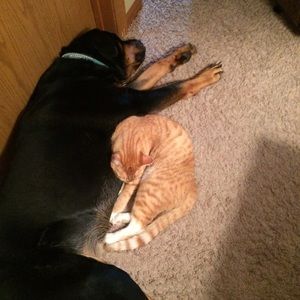 Meet your Posher, Lori