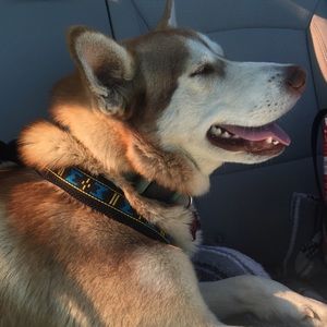 Meet your Posher, Christian