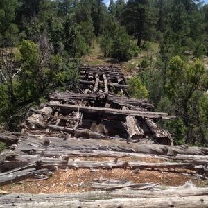 Meet your Posher, Shanna