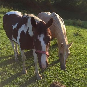 Meet your Posher, Judy