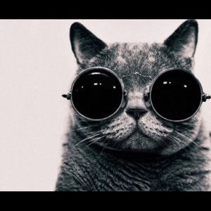 Meet your Posher, Marissa