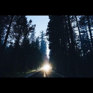 Meet your Posher, Anne