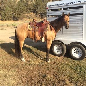 Meet your Posher, Gina