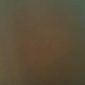 Meet your Posher, Jess