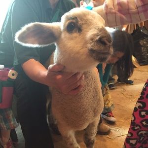 Meet your Posher, Jessica