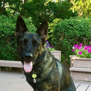 Meet your Posher, Heather