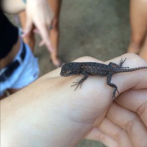 Meet your Posher, Camille