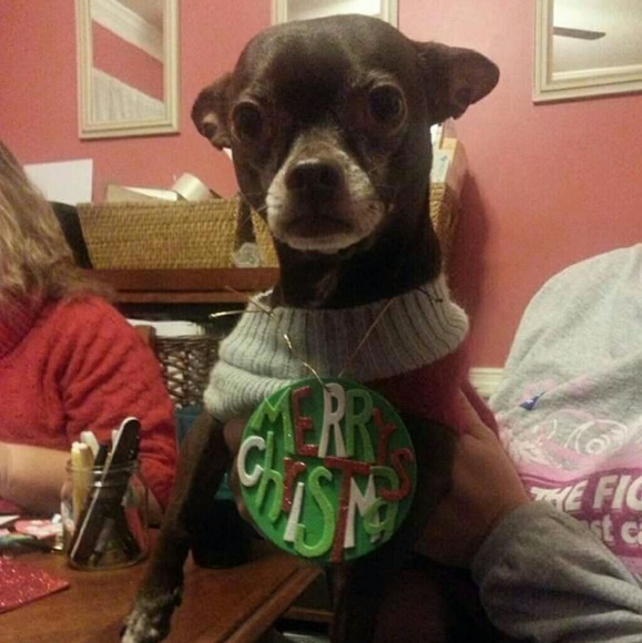 Meet your Posher, Judy - Picture 2 of 10