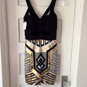 (ON HOLD) Nasty Gal Cutout Metallic Bodycon Dress