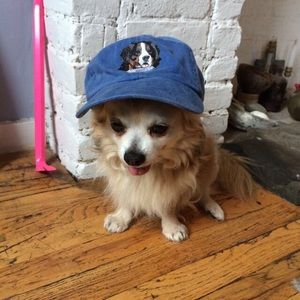 brandy top for pandapancakee